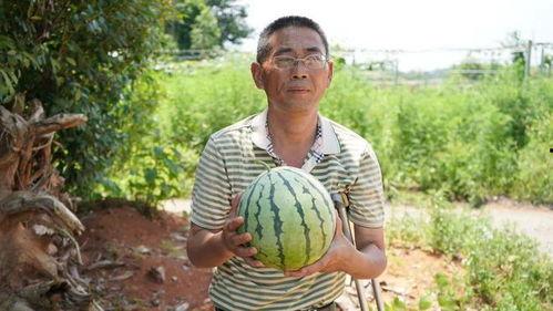 50岁吃瓜群众,笑谈世间百态，品味人生百味