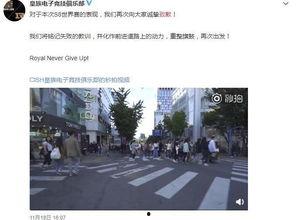 吃瓜协会话题,网络热议背后的娱乐现象解析