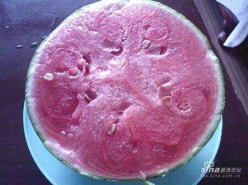 吃瓜资源论坛,热门话题与热门人物大盘点