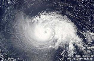 厦门台风吃瓜事件始末,一场意外引发的全民热议