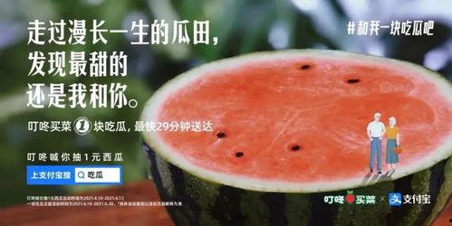 瓜田里吃瓜掉渣,吃瓜掉渣背后的趣味与启示