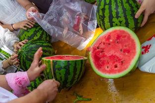 门店吃瓜视频,揭秘日常生活中的趣味瞬间