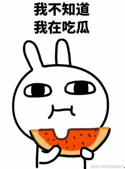 吃瓜捏脸,解锁趣味表情新玩法