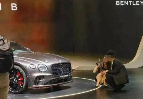 宾利销售下蹲吃瓜,下蹲吃瓜，体验奢华与接地气的完美融合