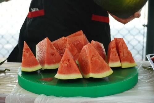 家人们吃瓜网,热门话题背后的真相与笑料