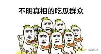 什么是吃瓜行动,网络舆论场中的围观与反思