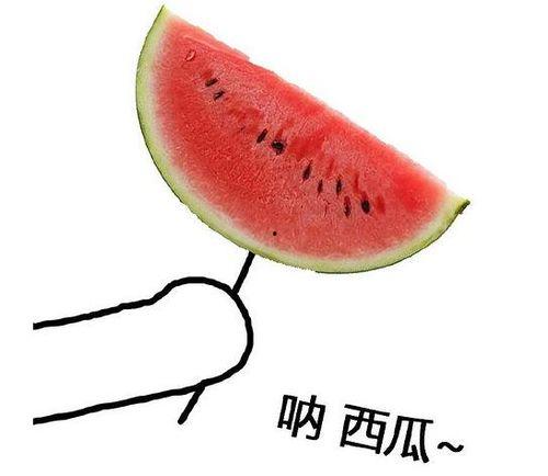 带吃瓜的头像