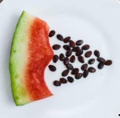 吃西瓜籽叫什么瓜,揭秘“吃西瓜籽叫什么瓜”的趣味谜题