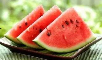 吉安学校吃瓜,揭秘校园食品安全风波